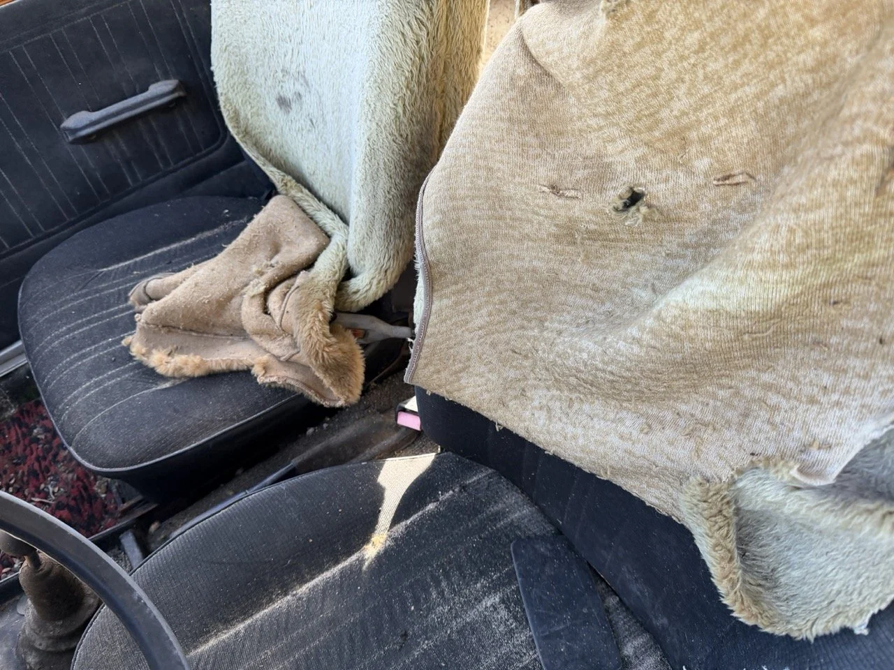 IMG_7707 – grande.jpeg