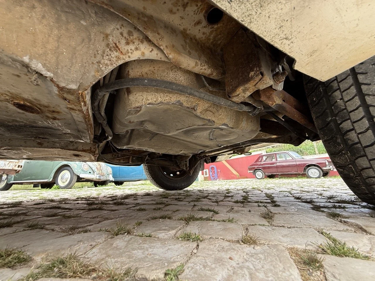 IMG_8631 – grande.jpeg