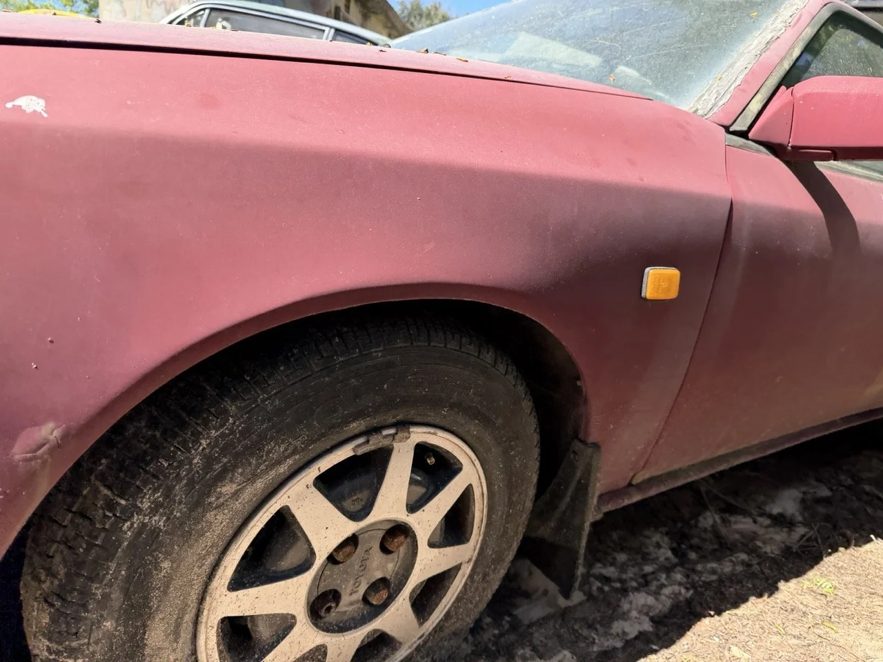 IMG_7633 – grande.jpeg