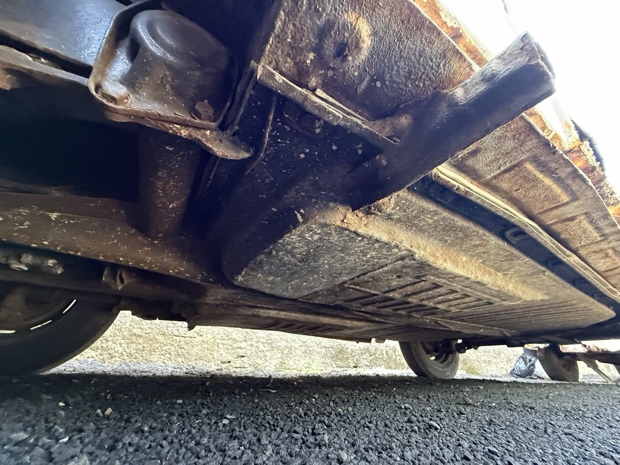 IMG_0727 – grande.jpeg