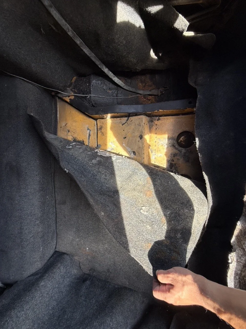 IMG_0594 – grande.jpeg