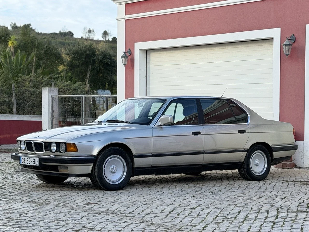 IMG_6876 – grande.jpeg