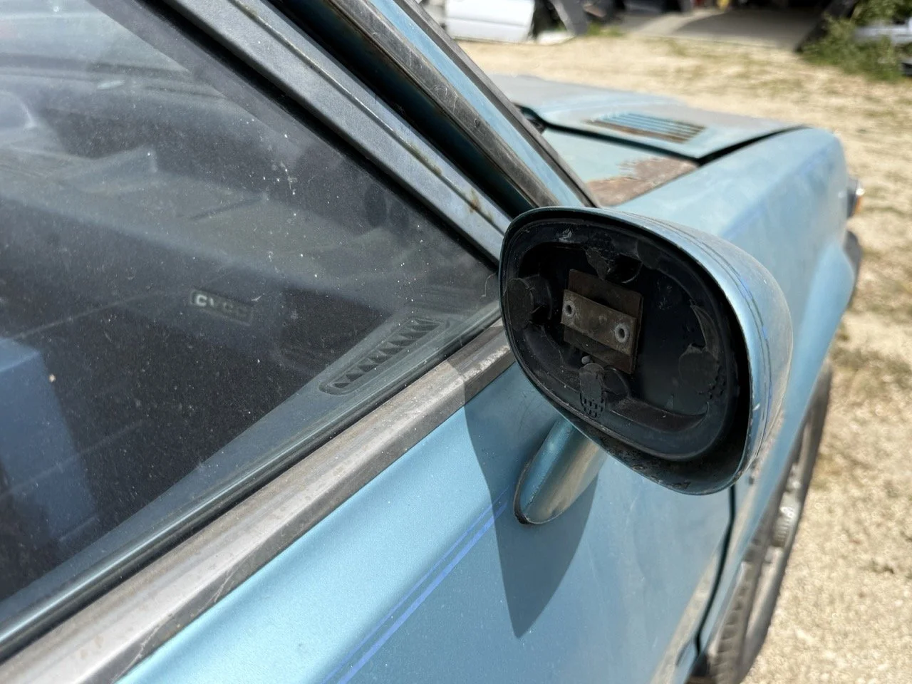 IMG_1552 – grande.jpeg