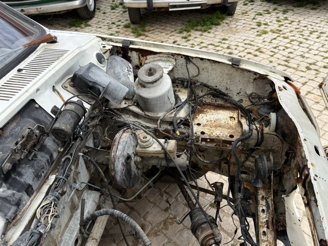 IMG_8541 – grande.jpeg