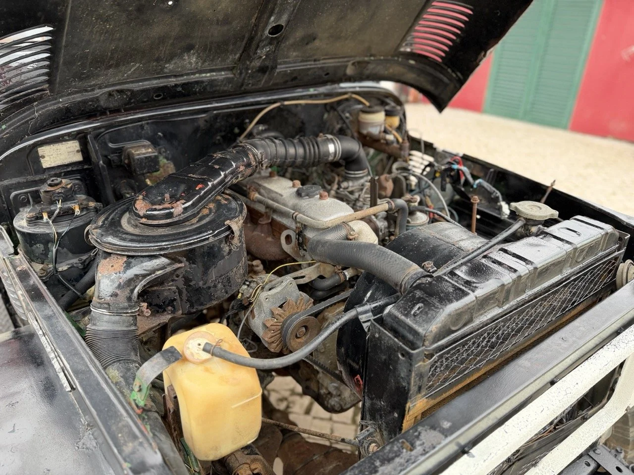 IMG_6476 – grande.jpeg