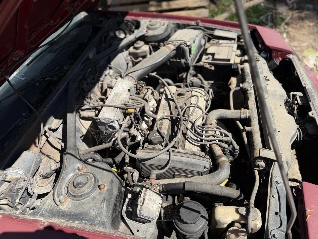 IMG_7618 – grande.jpeg