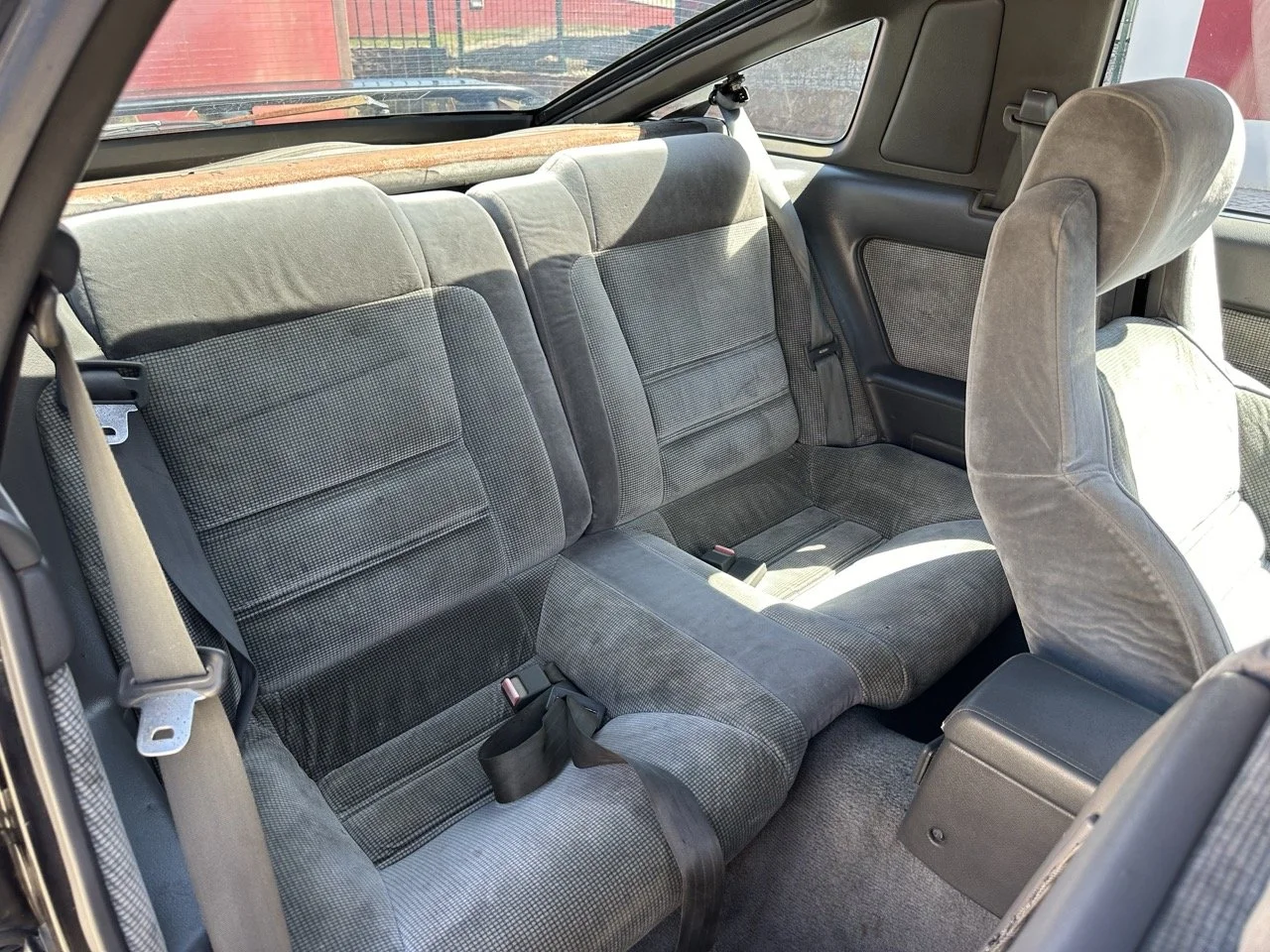 IMG_3056 – grande.jpeg