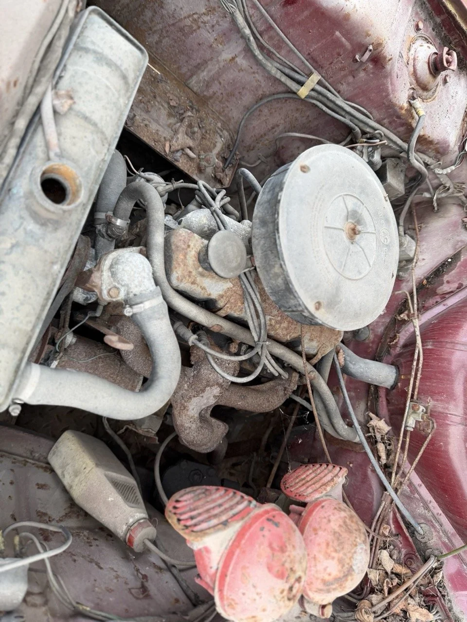 IMG_8955 – grande.jpeg