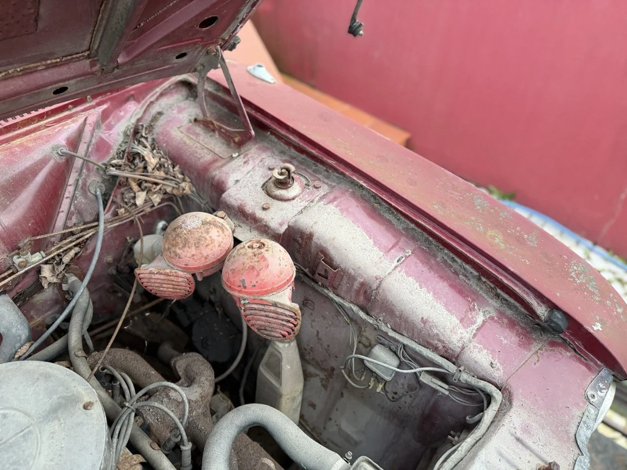 IMG_8956 – grande.jpeg