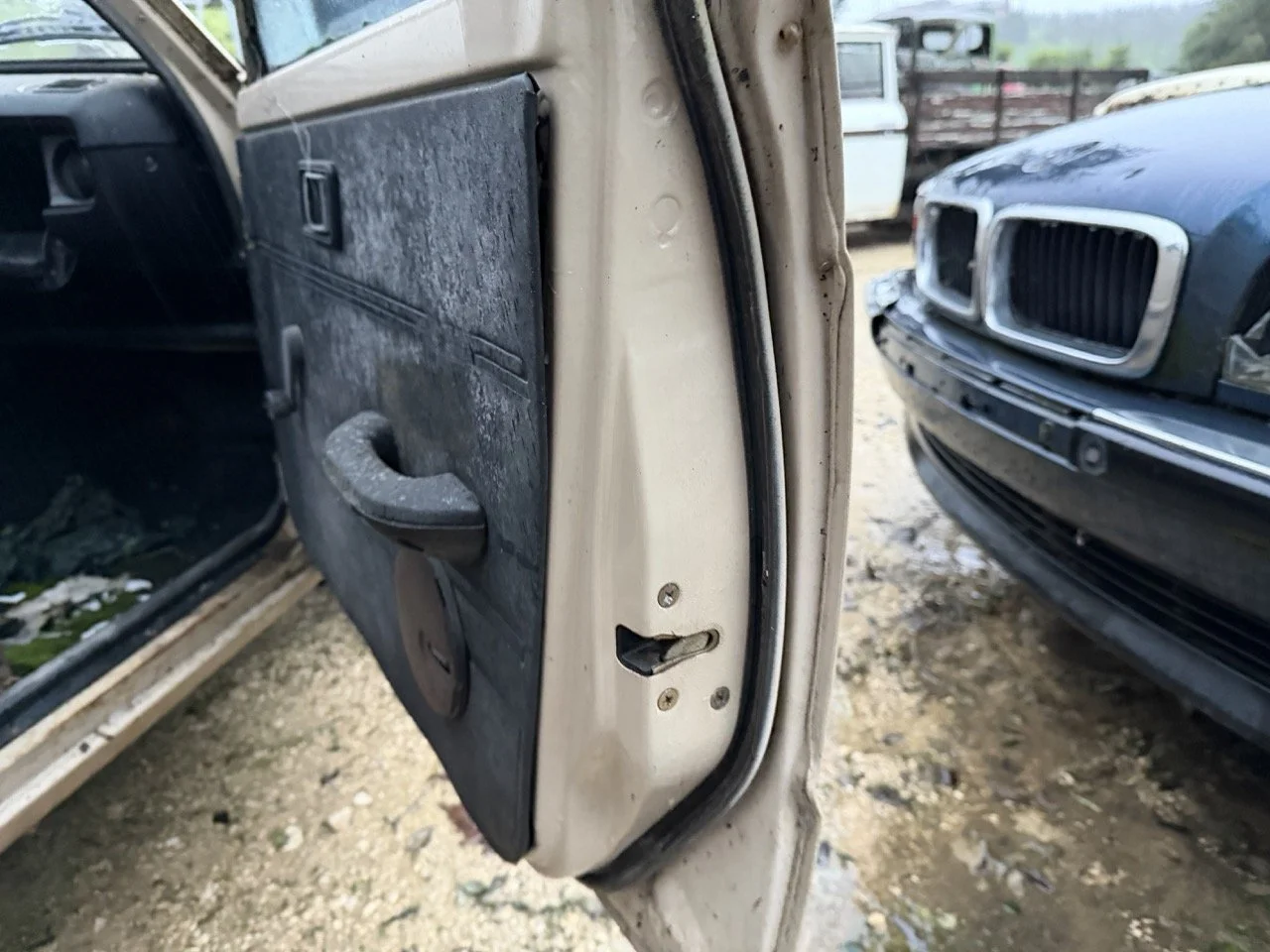 IMG_0227 – grande.jpeg