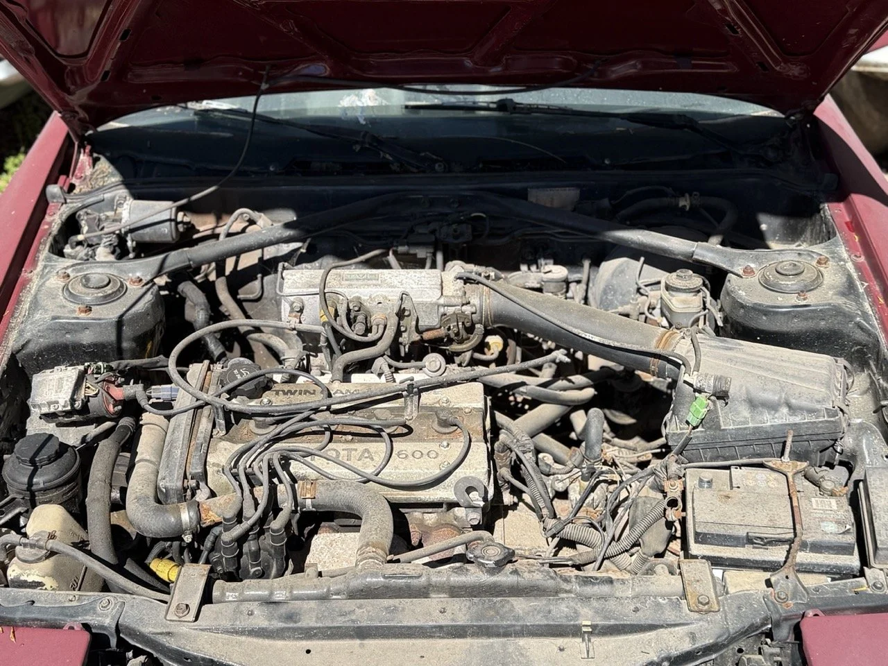 IMG_7616 – grande.jpeg