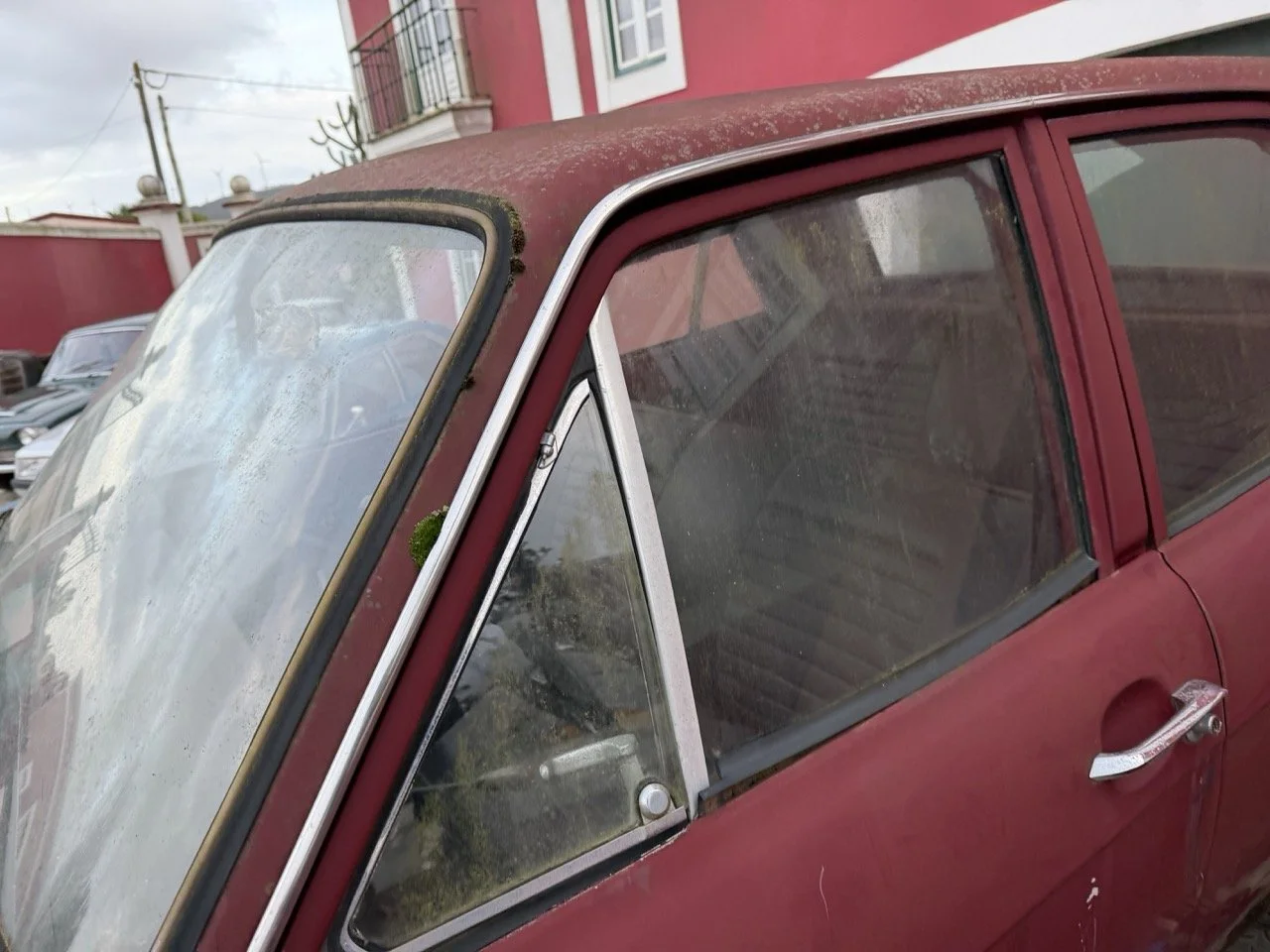 IMG_9006 – grande.jpeg