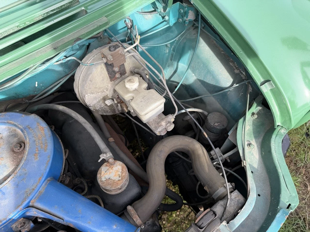 IMG_3889 – grande.jpeg