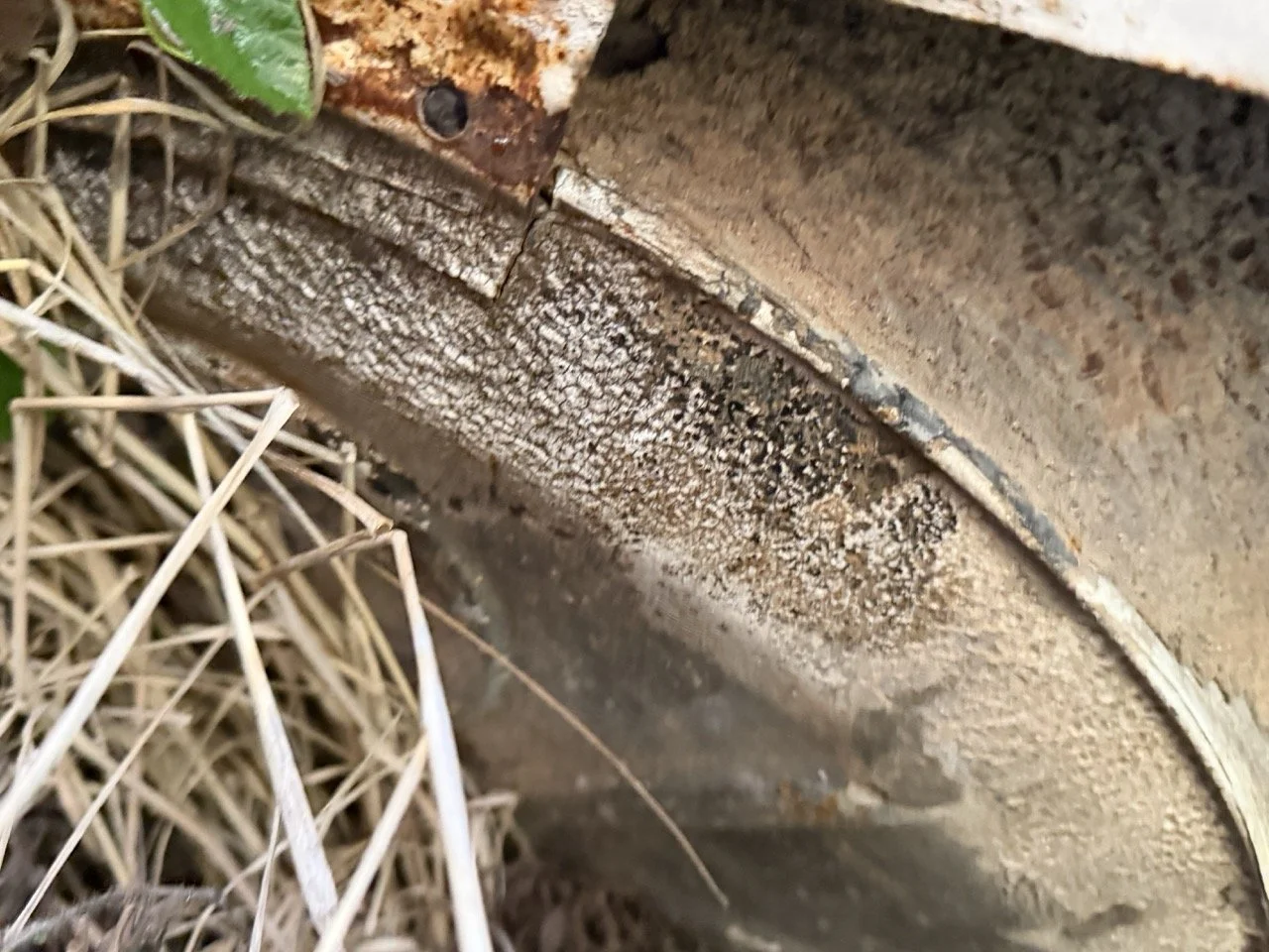 IMG_5200 – grande.jpeg