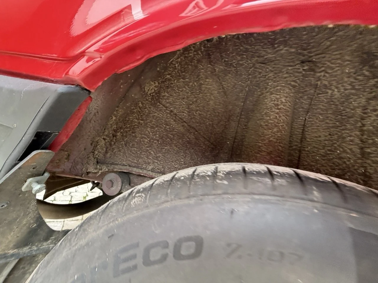 IMG_3539 – grande.jpeg