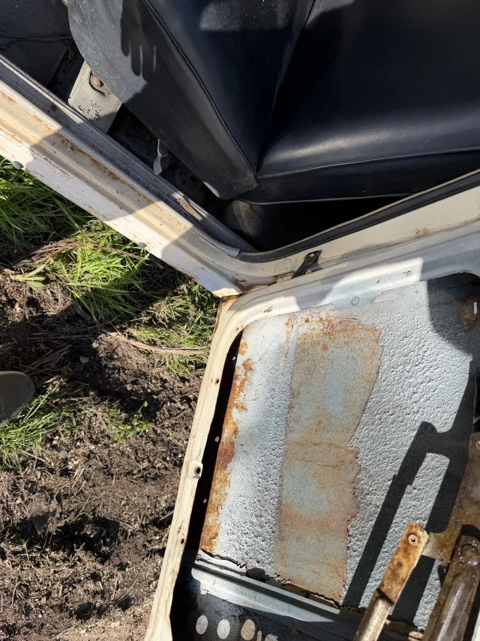 IMG_2532 – grande.jpeg