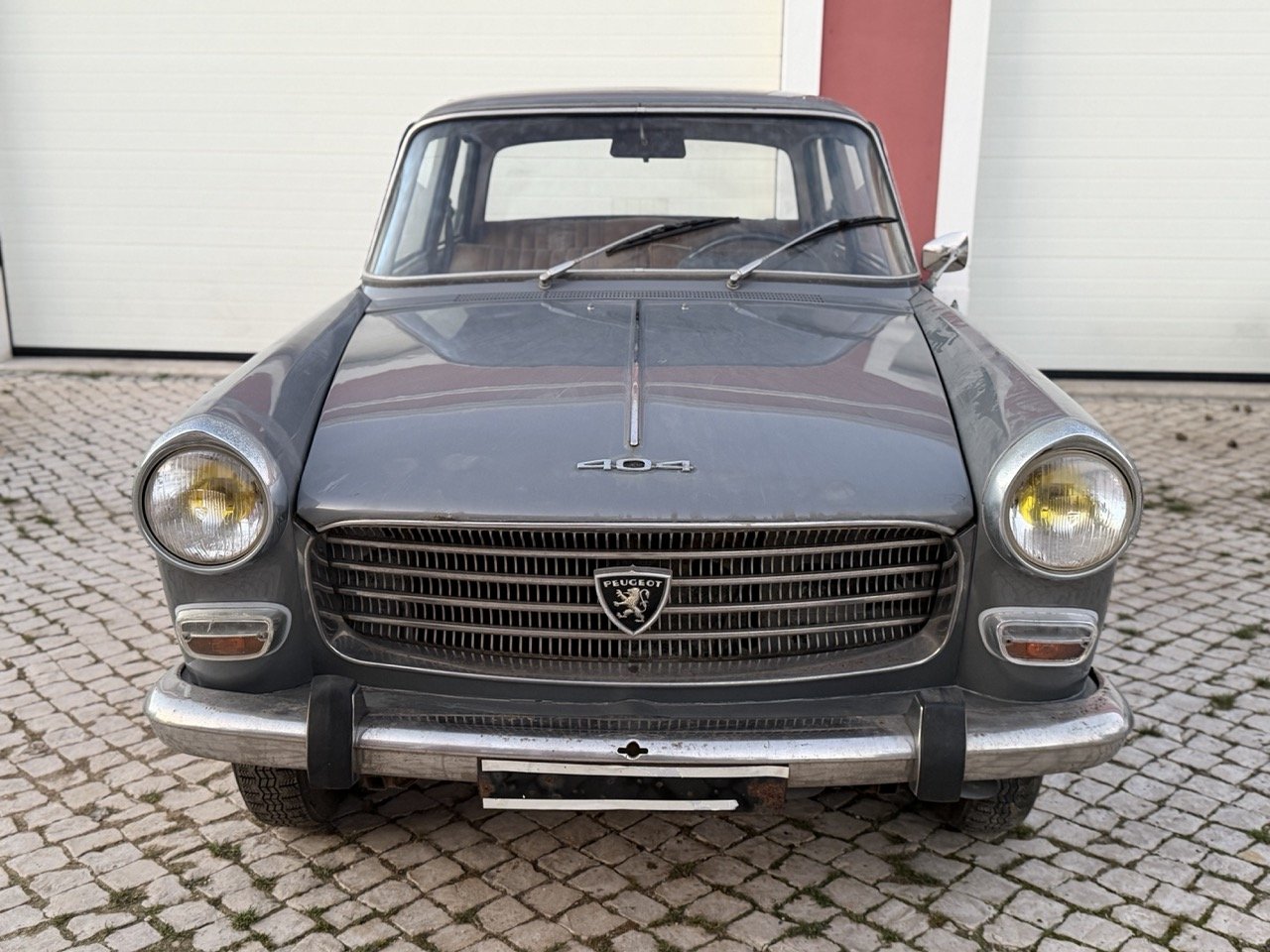 IMG_7489 – grande.jpeg