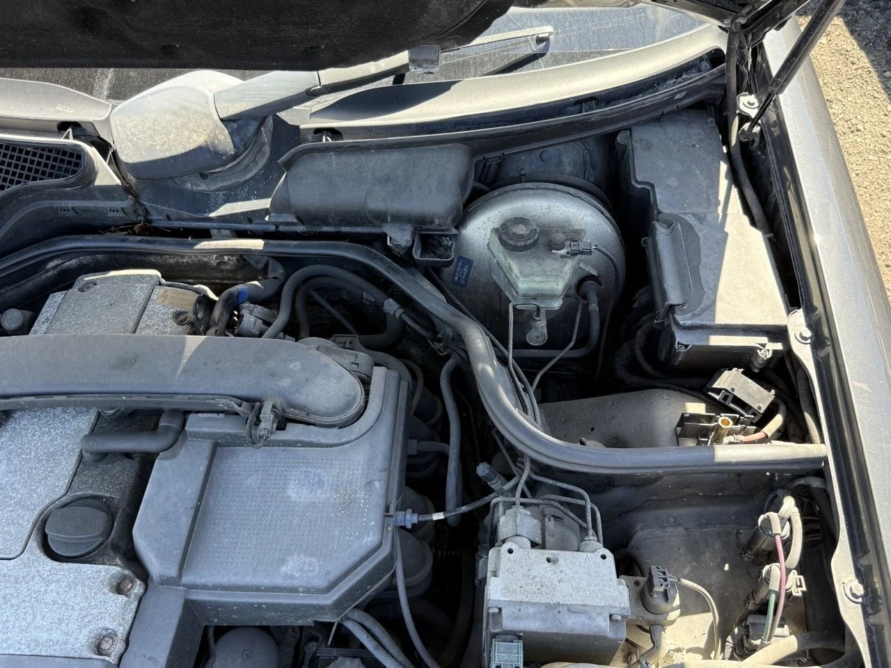 IMG_1784 – grande.jpeg