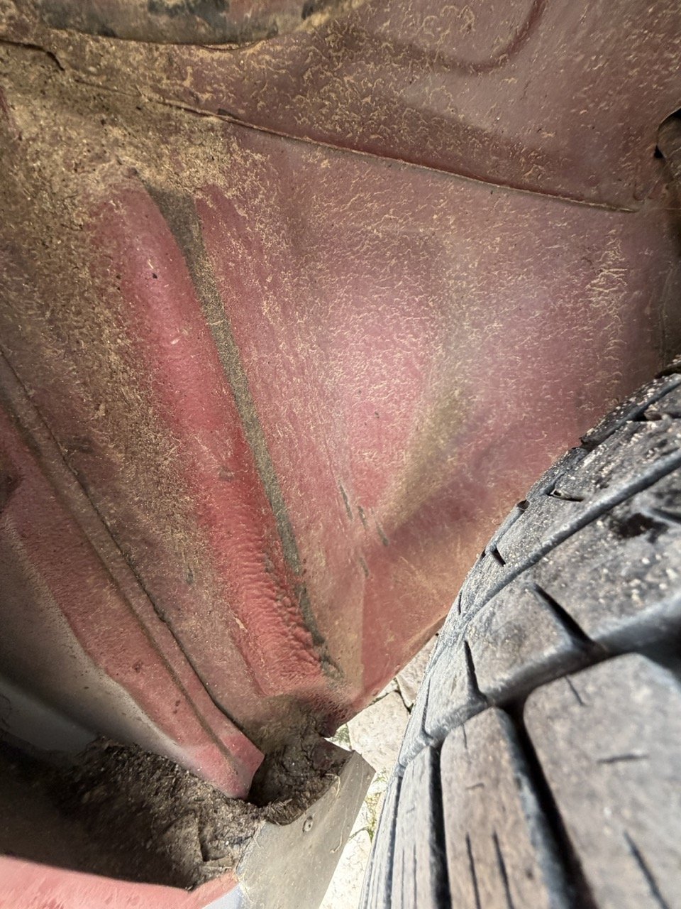 IMG_3534 – grande.jpeg