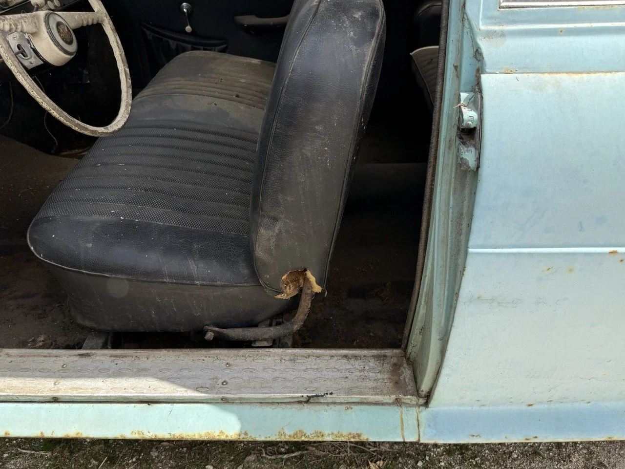 IMG_1382 – grande.jpeg