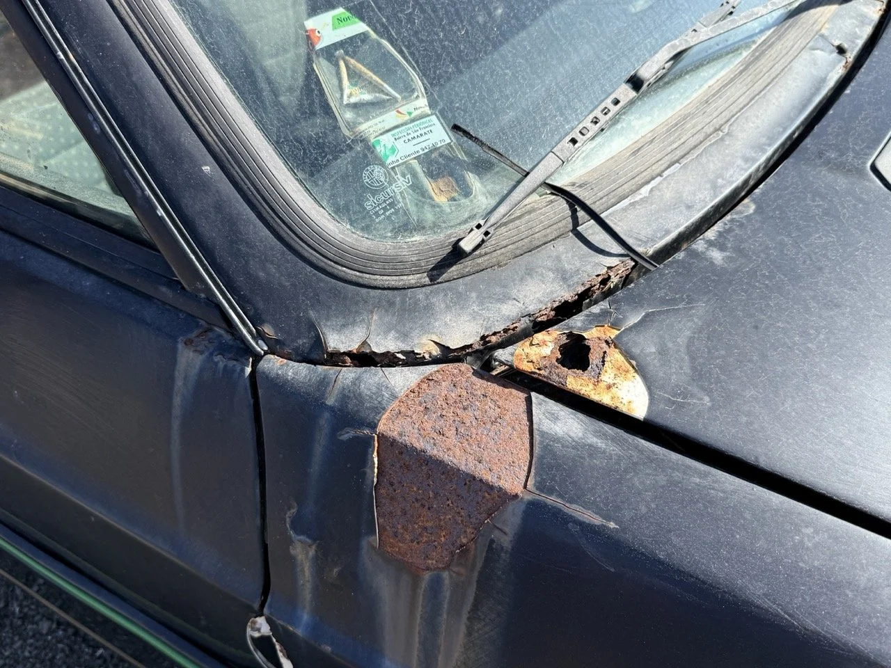 IMG_2923 – grande.jpeg