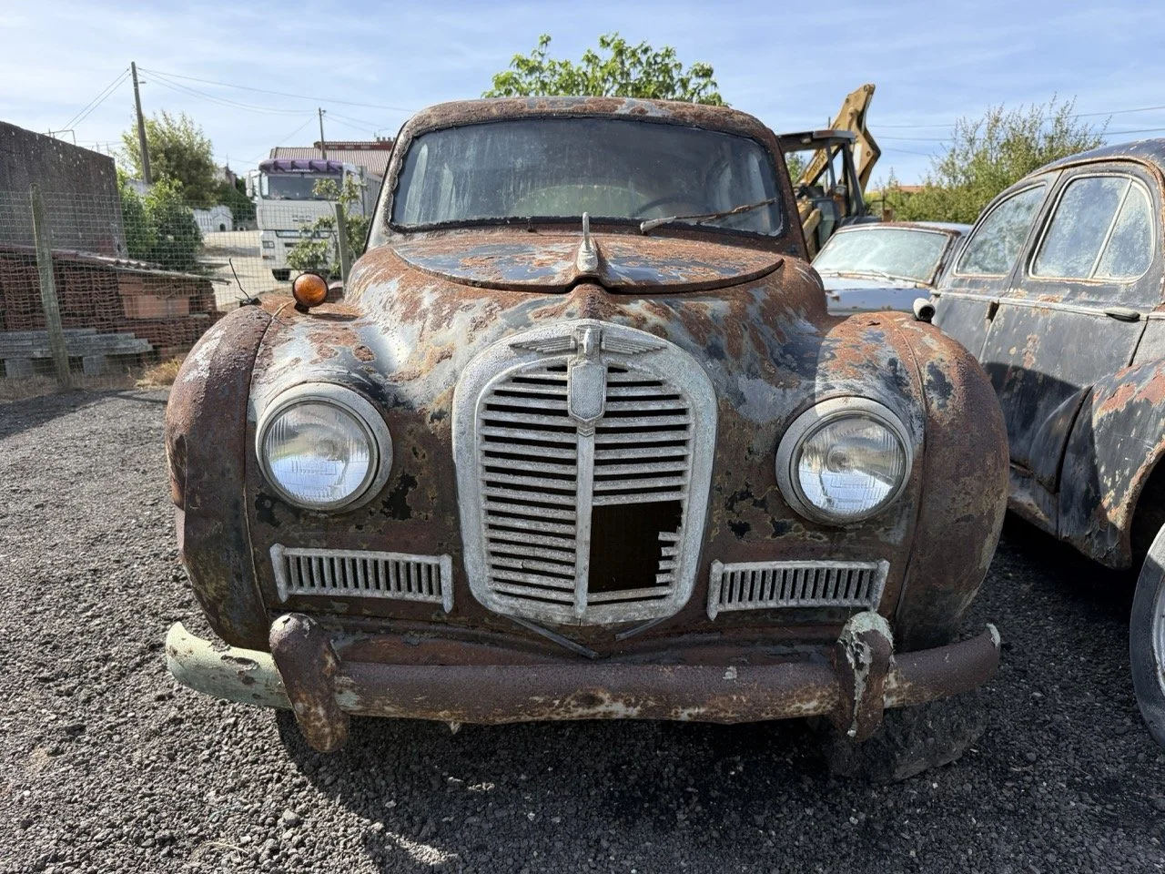 IMG_0428 – grande.jpeg