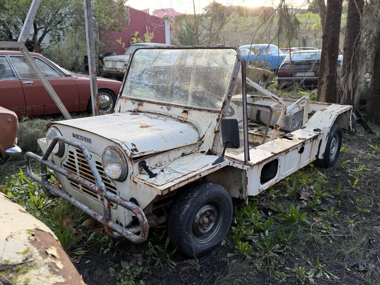 IMG_0873 – grande.jpeg