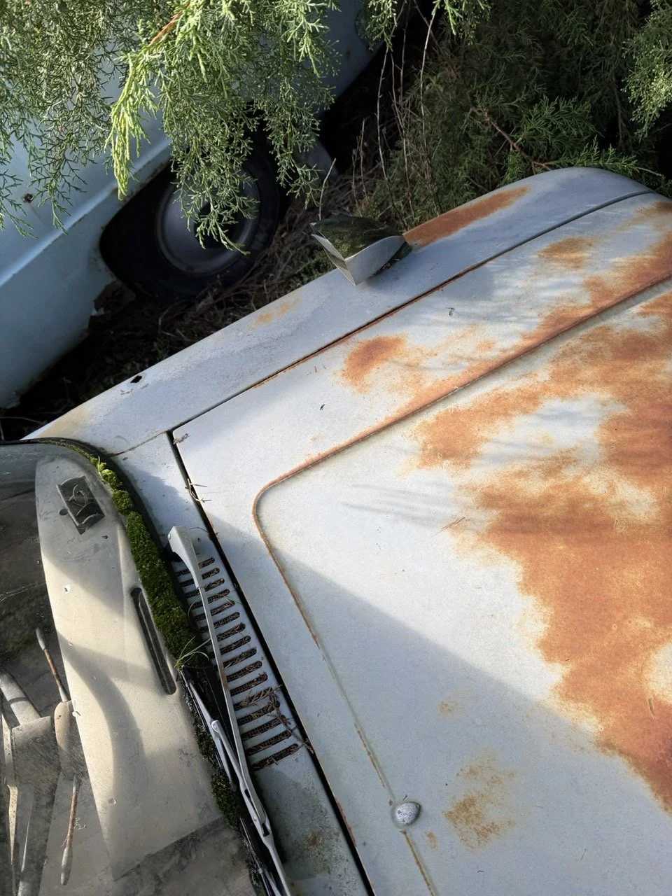 IMG_8565 – grande.jpeg