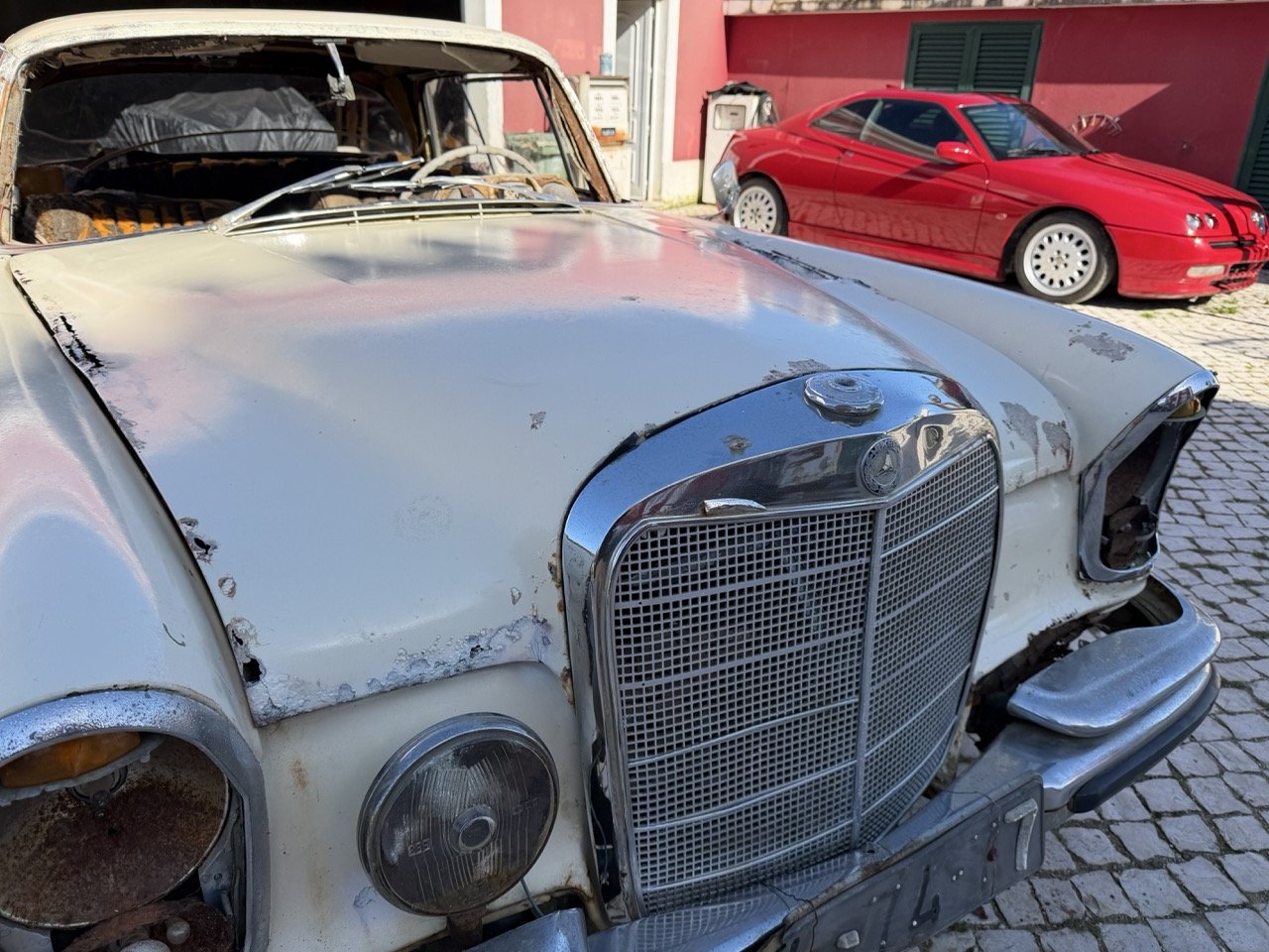 IMG_7065 – grande.jpeg