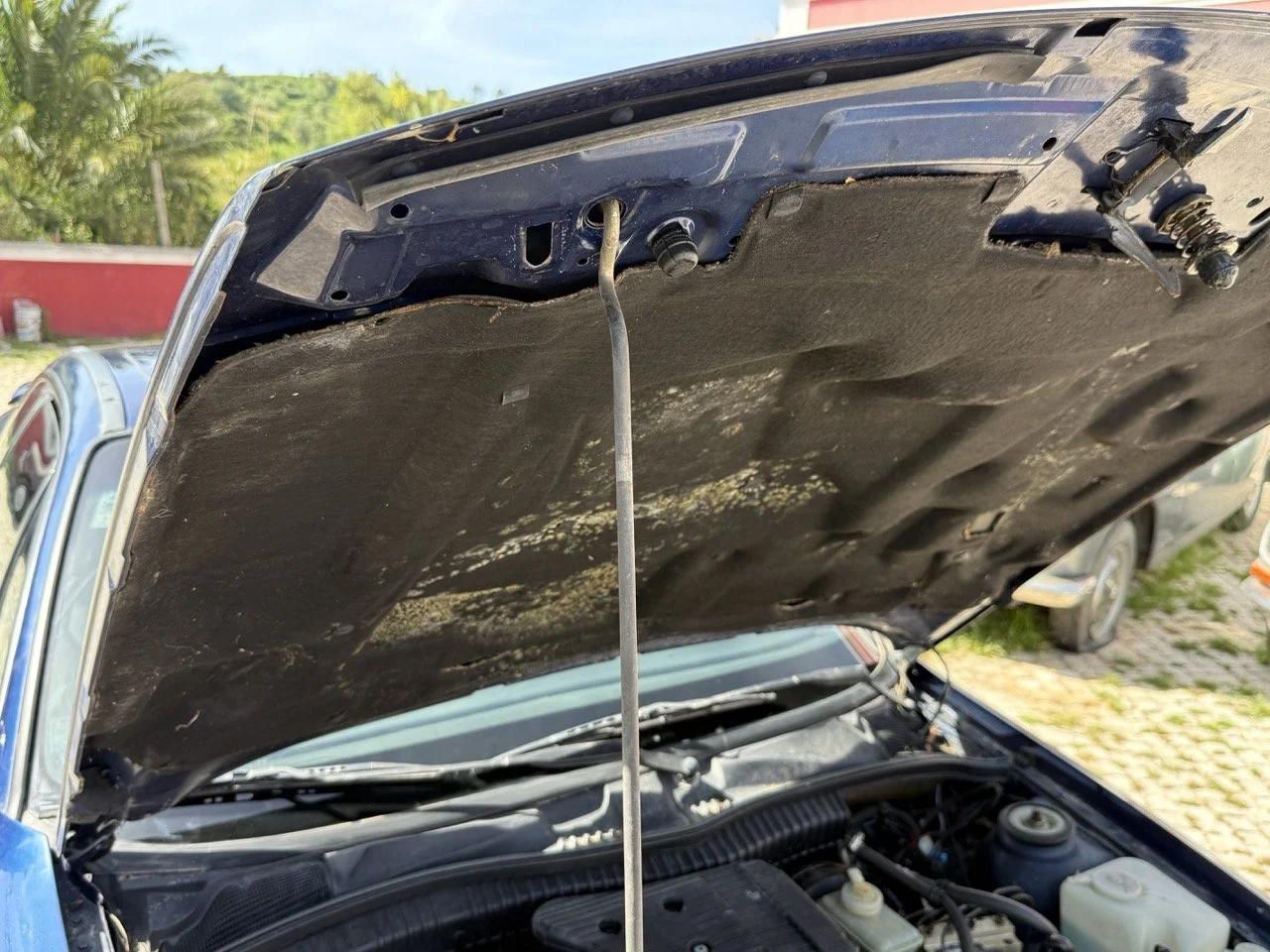 IMG_2429 – grande.jpeg