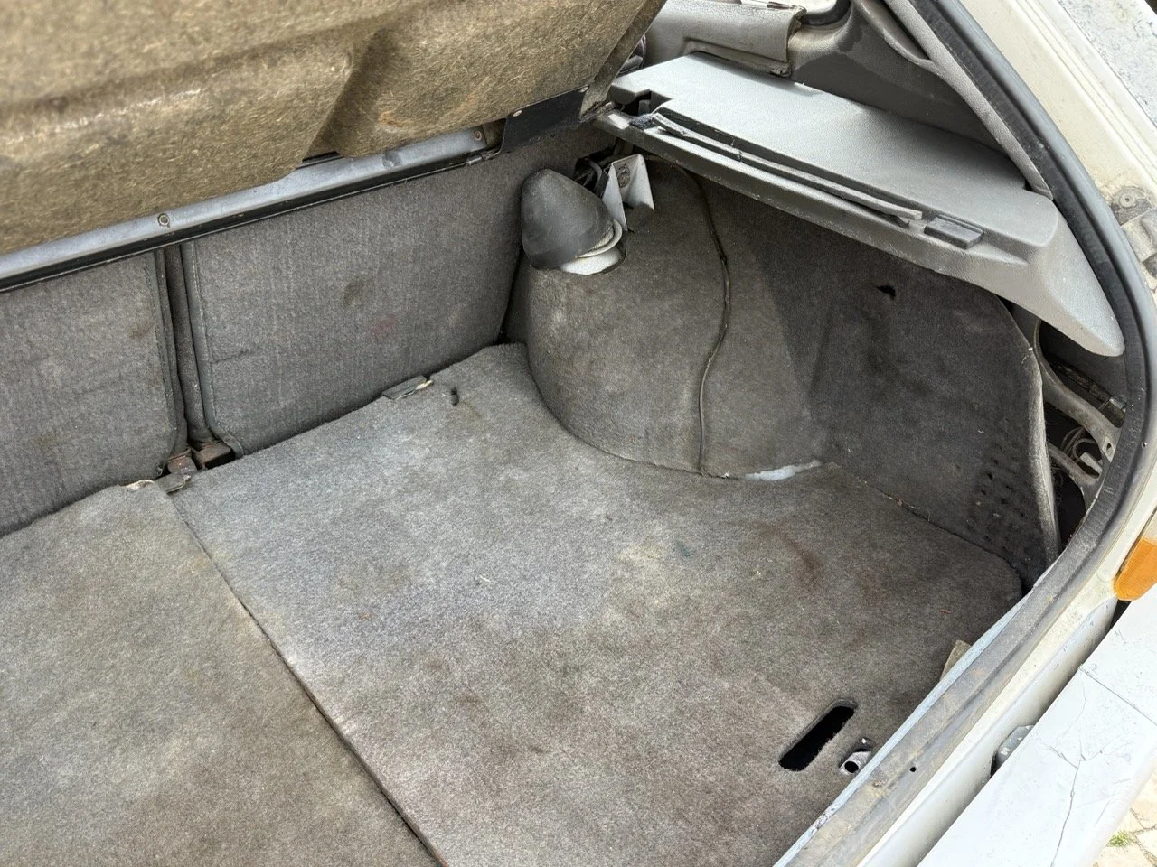 IMG_8577 – grande.jpeg