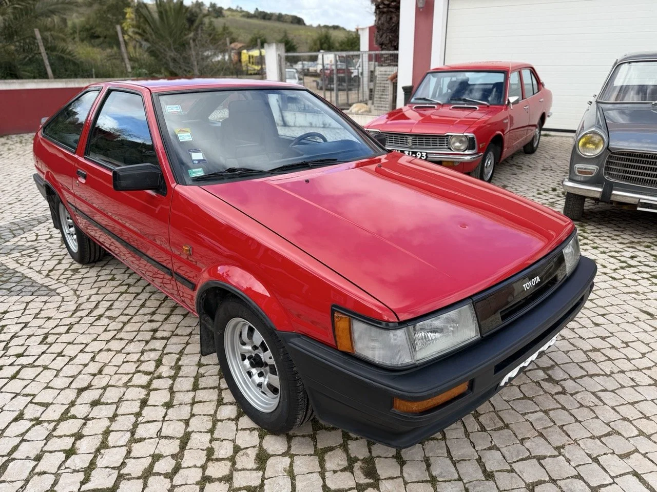 IMG_2407 – grande.jpeg