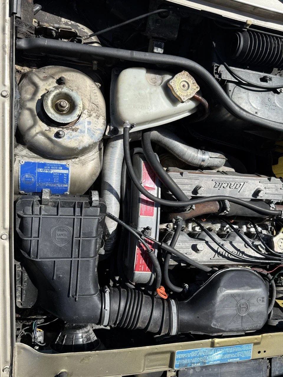 IMG_1947 – grande.jpeg