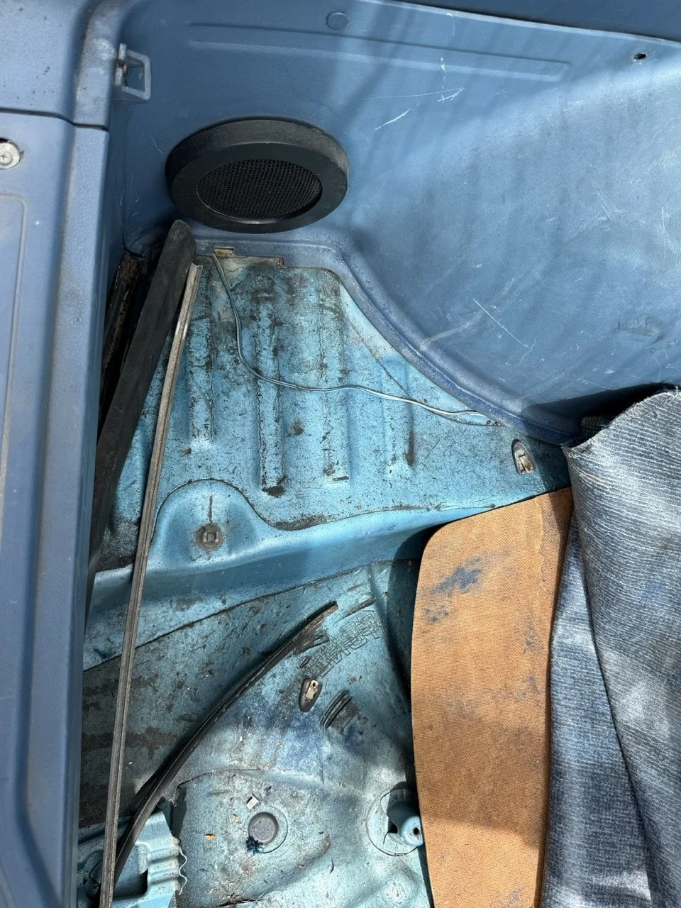 IMG_1531 – grande.jpeg