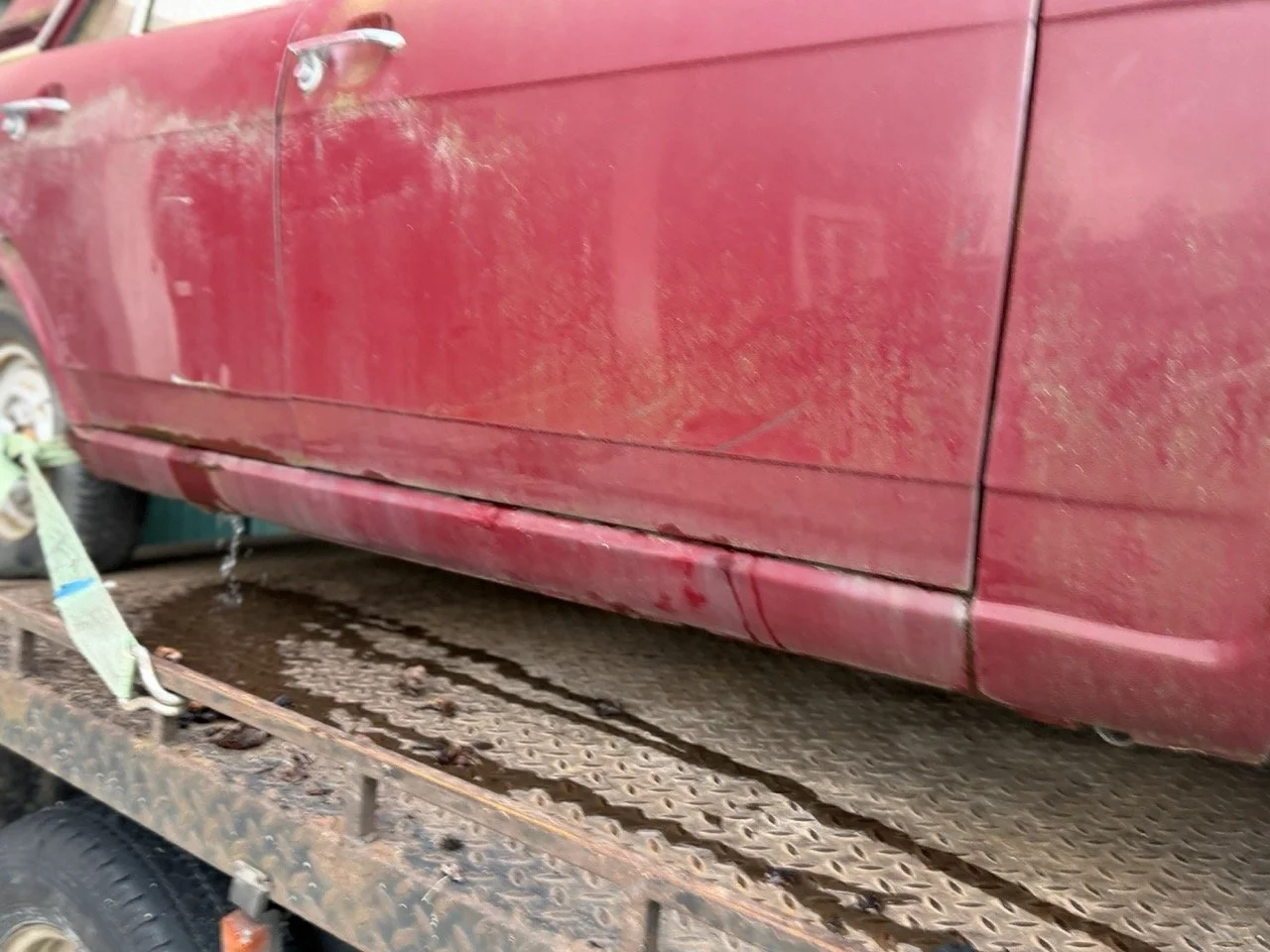 IMG_8983 – grande.jpeg