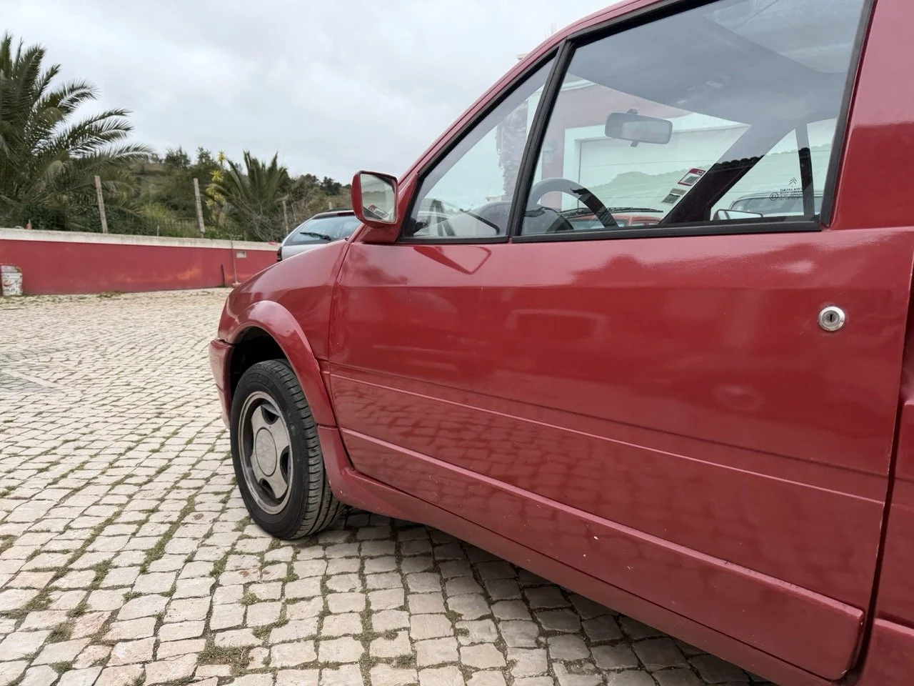 IMG_3648 – grande.jpeg