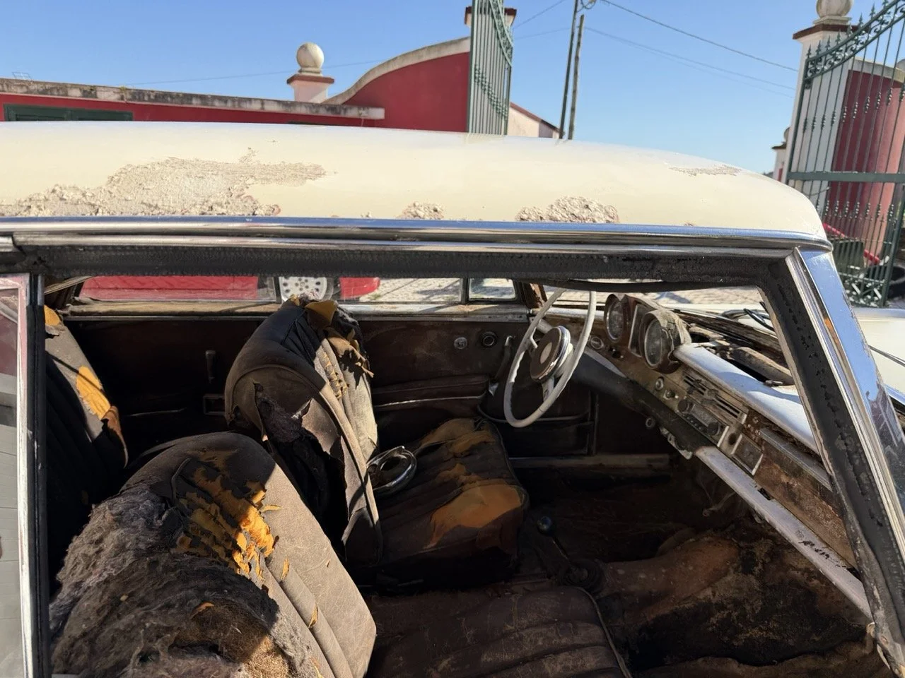 IMG_7029 – grande.jpeg