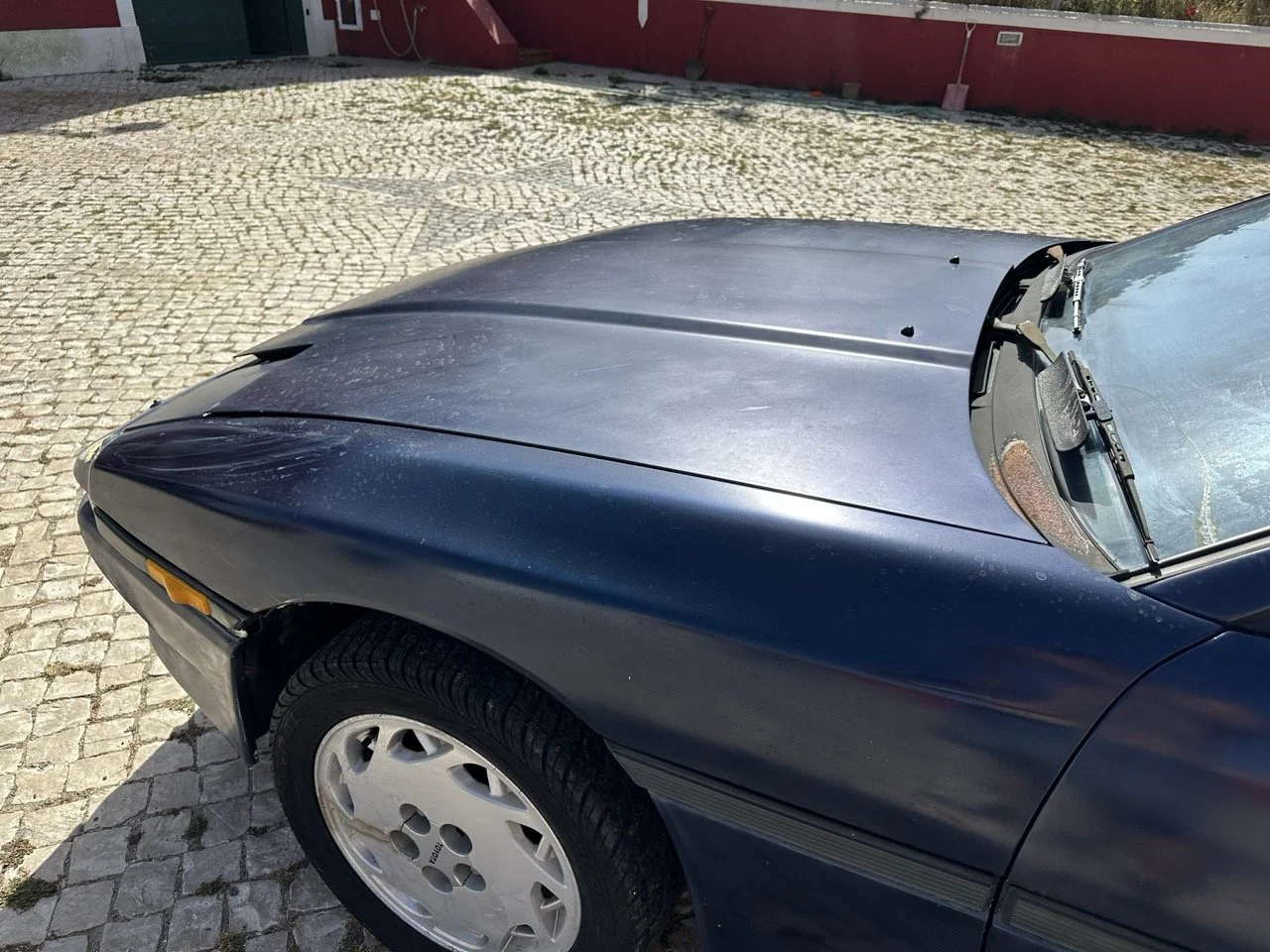 IMG_7237 – grande.jpeg