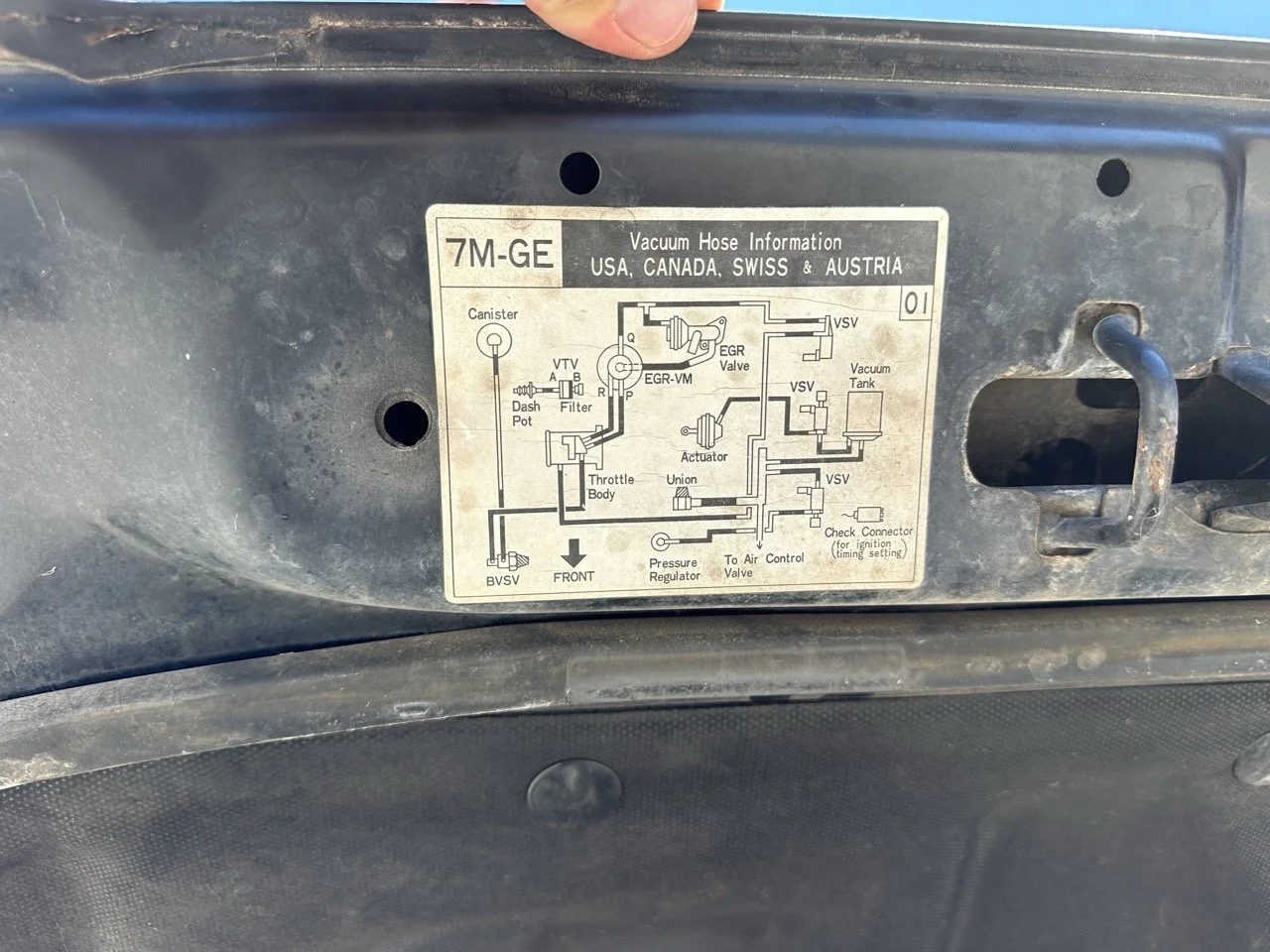 IMG_3068 – grande.jpeg