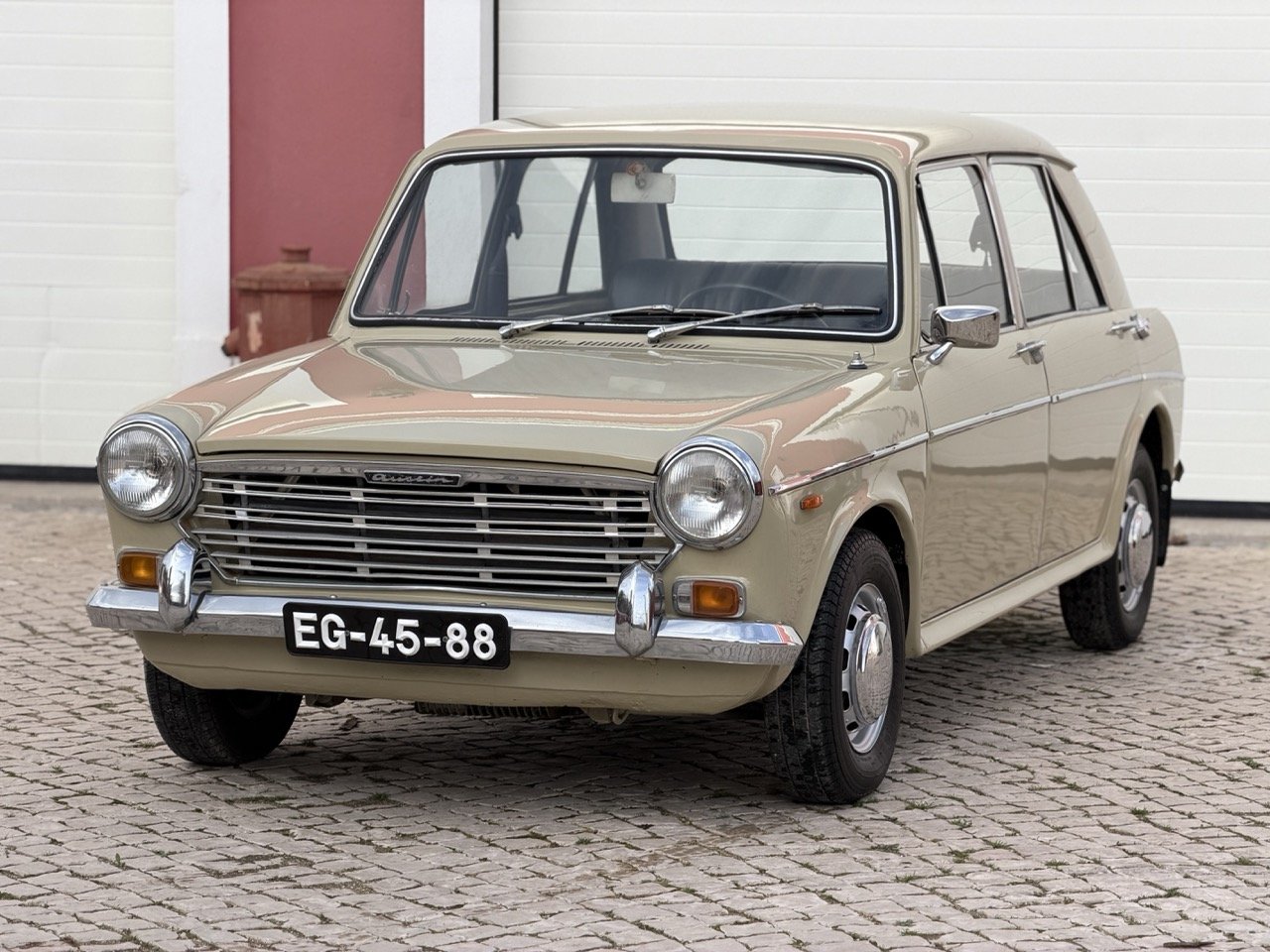 IMG_4009 – grande.jpeg