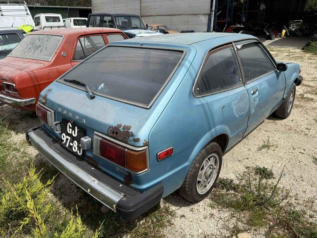 IMG_1502 – grande.jpeg