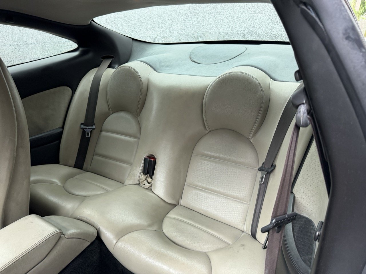 IMG_3618 – grande.jpeg