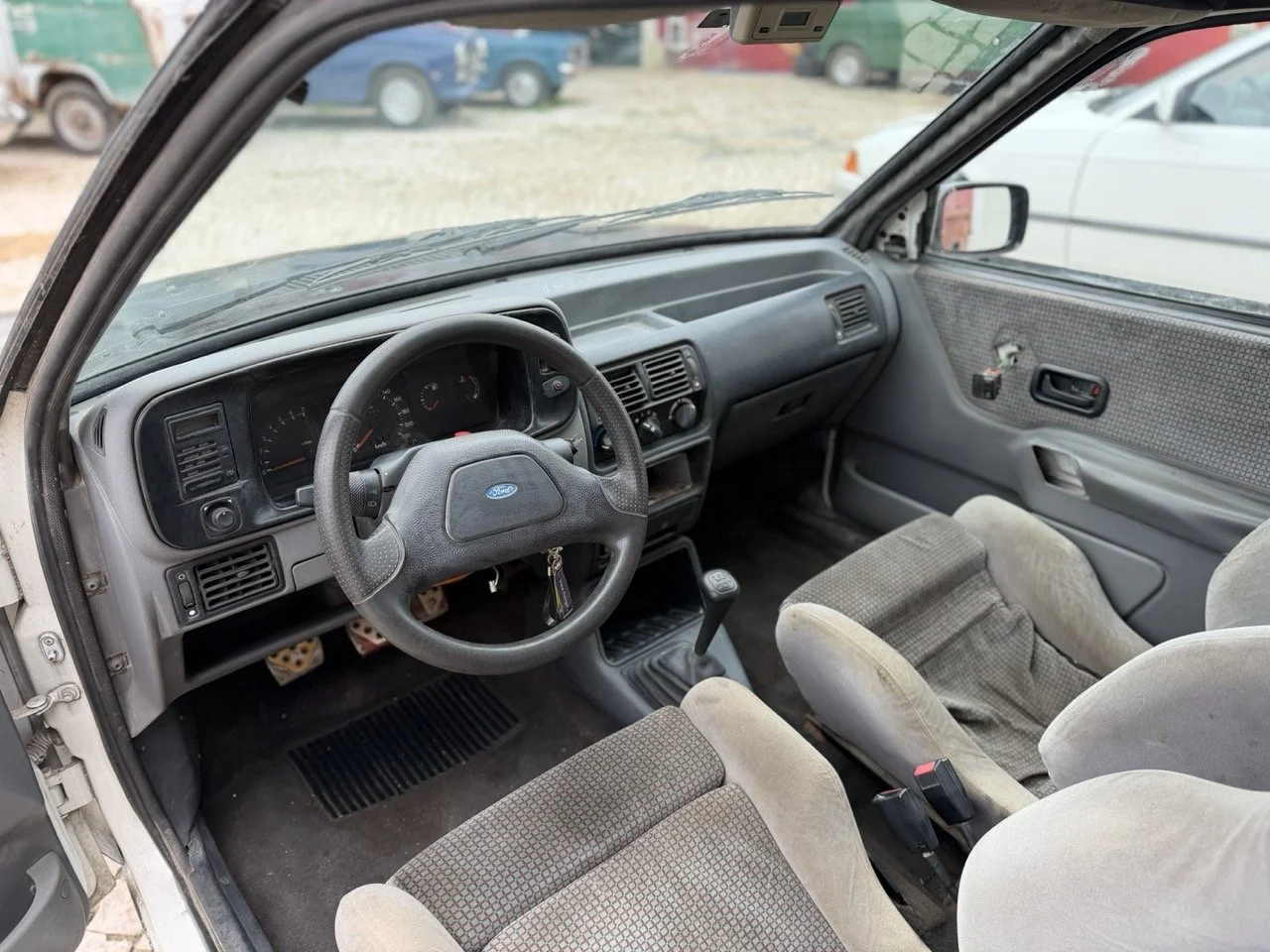 IMG_1265 – grande.jpeg