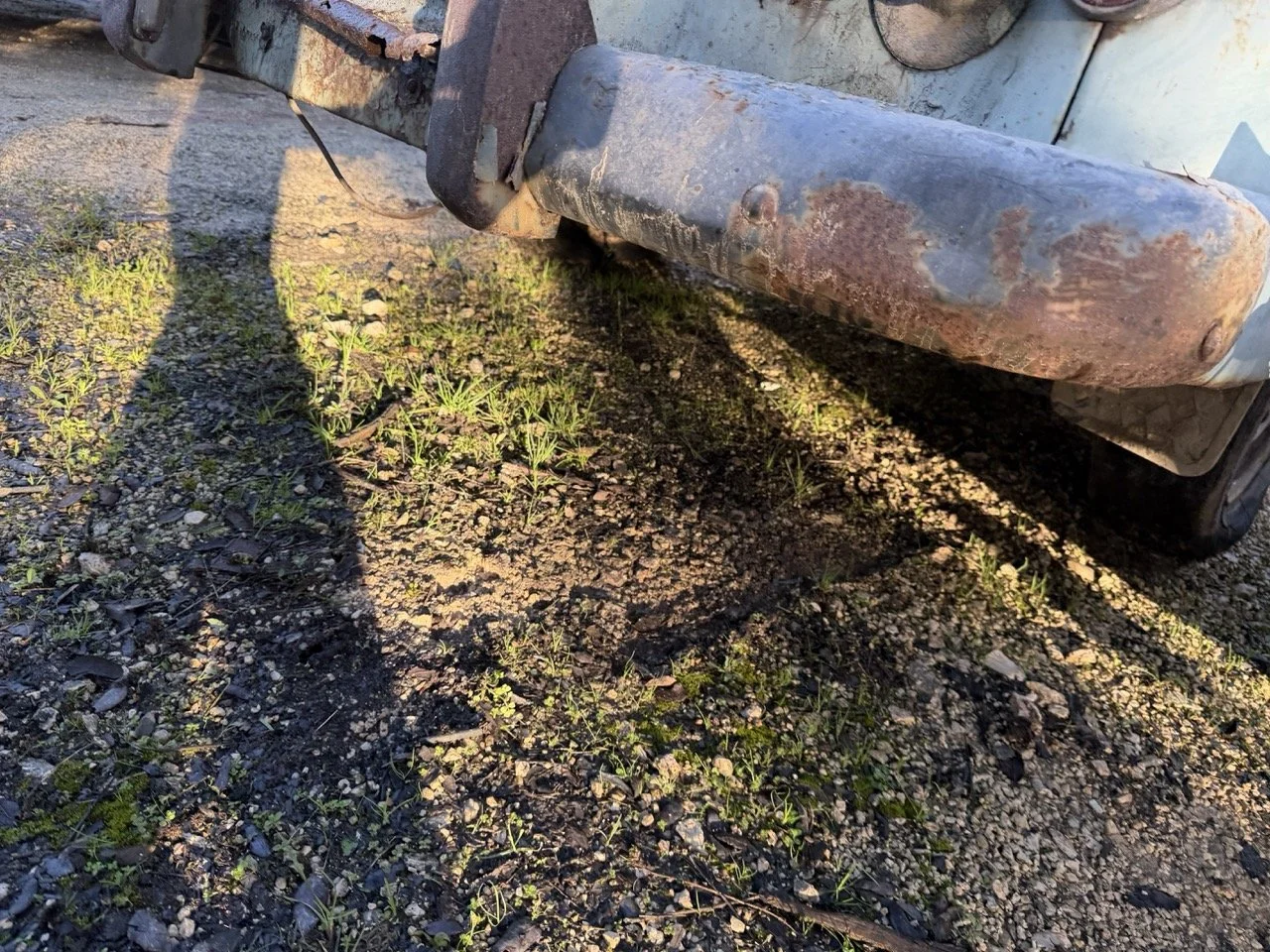 IMG_4053 – grande.jpeg