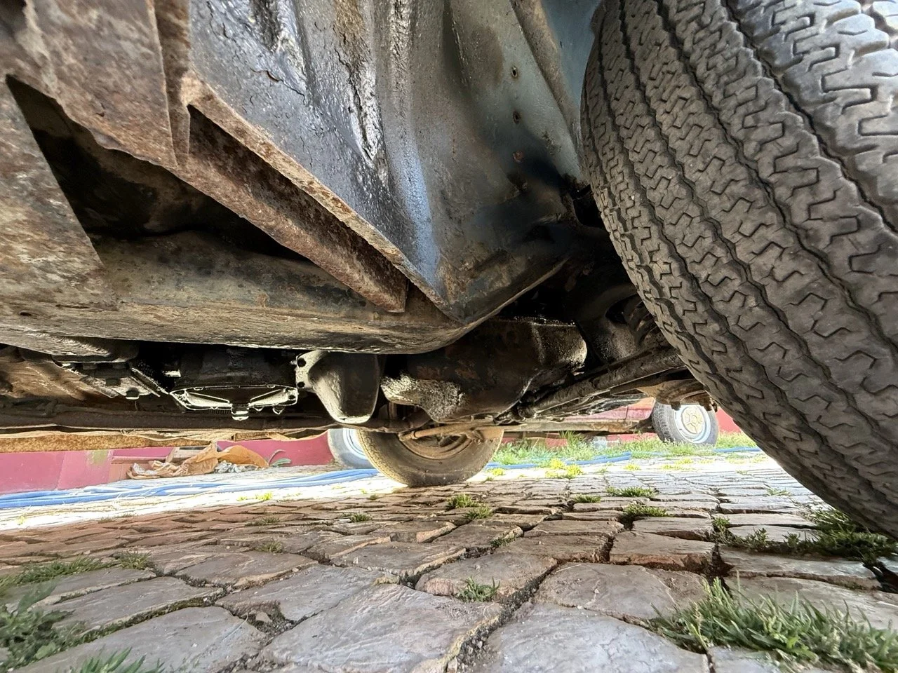 IMG_3562 – grande.jpeg