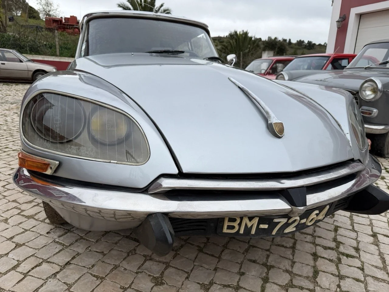 IMG_3750 – grande.jpeg