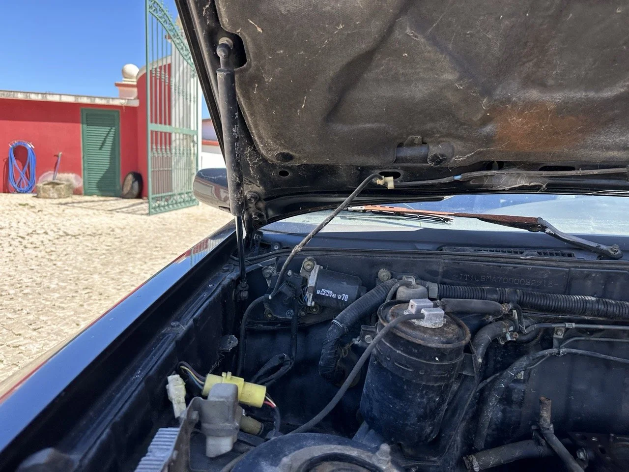 IMG_3070 – grande.jpeg