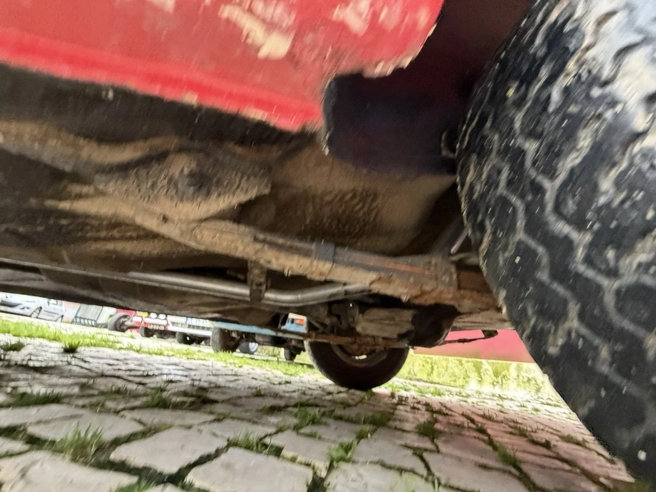 IMG_8316 – grande.jpeg