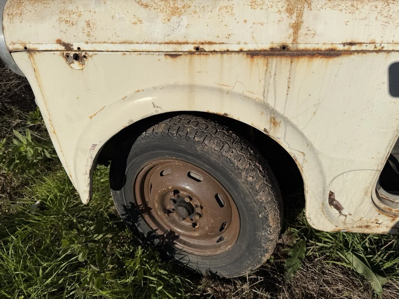 IMG_2522 – grande.jpeg