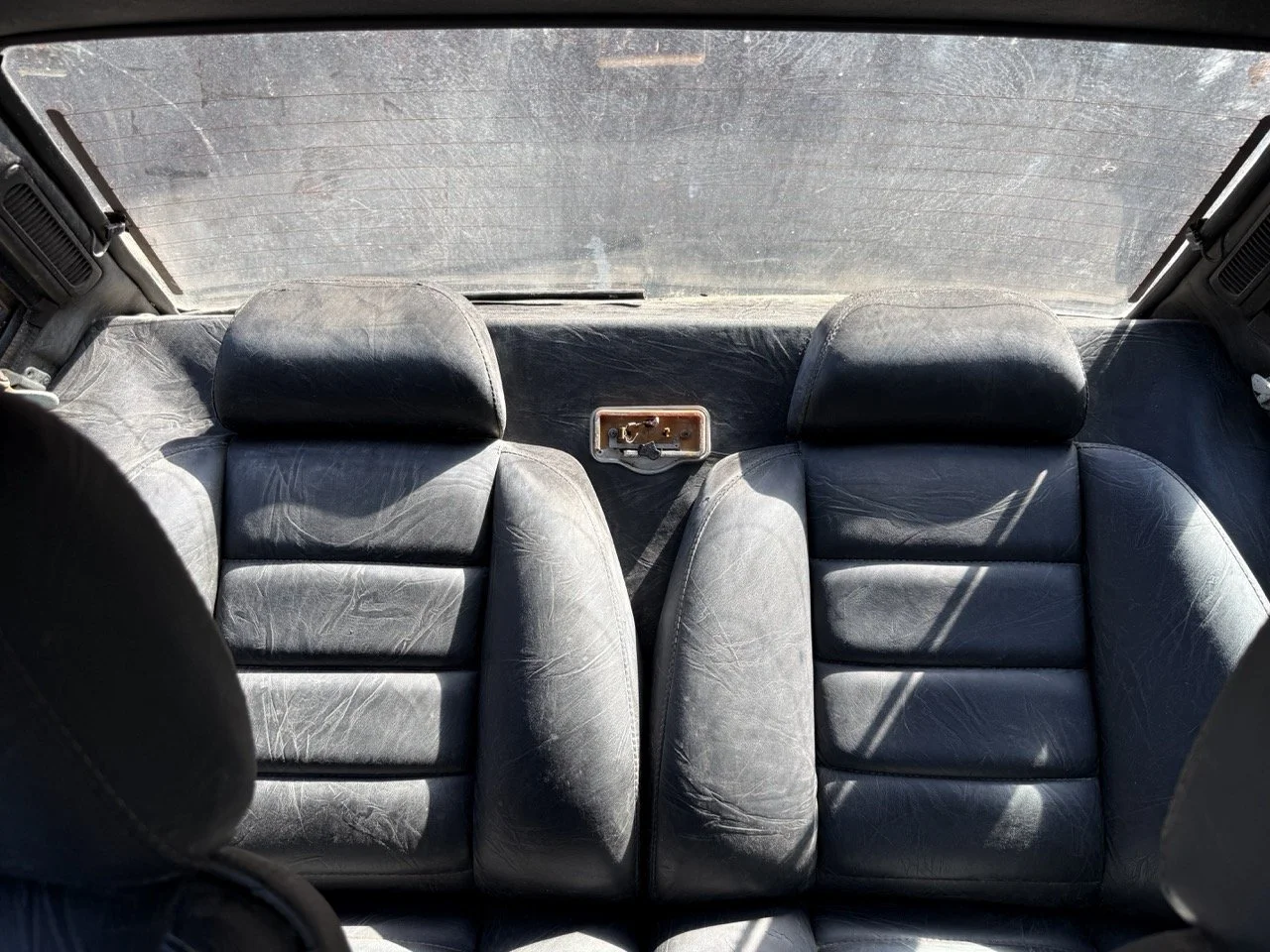 IMG_0914 – grande.jpeg